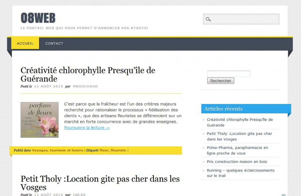 08web.fr utilise le thème Living Journal traduit par Bruno Tritsch