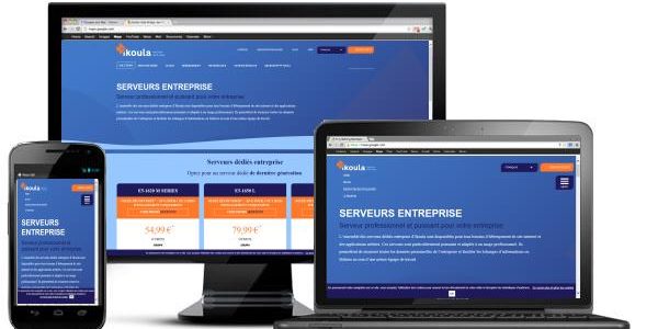 Quels sont les différents serveurs dédiés et pourquoi en prendre un ?